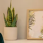 Dream - Prime Location 2br In Lejlighed