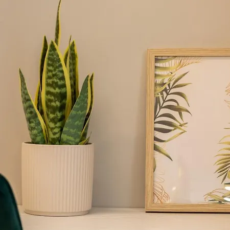 Dream - Prime Location 2br In Apartamento