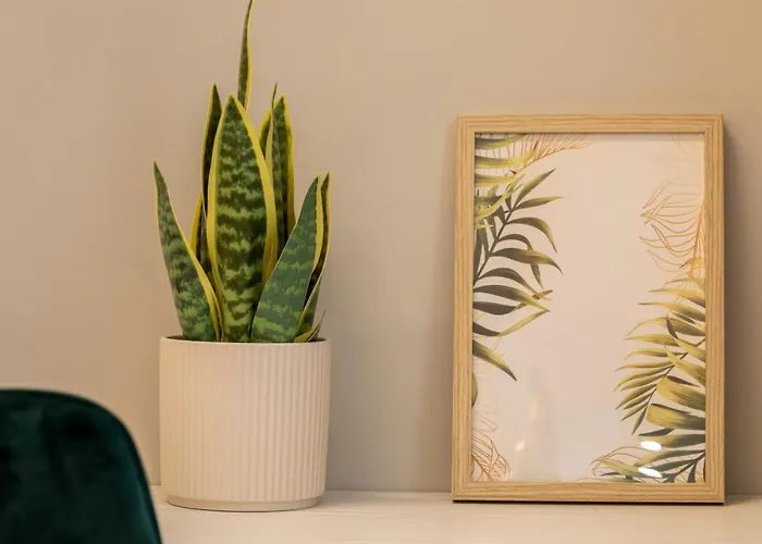 Dream - Prime Location 2br In アパート